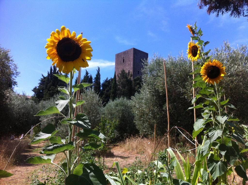 Torre Dei Belforti Montecatini Val di Cecina Luaran gambar